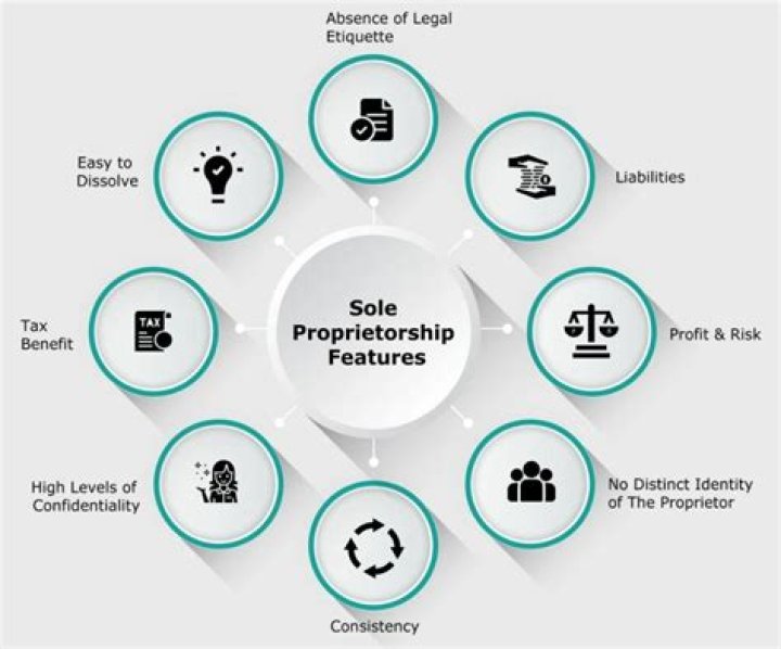 What are the 5 main characteristics of a sole proprietorship?