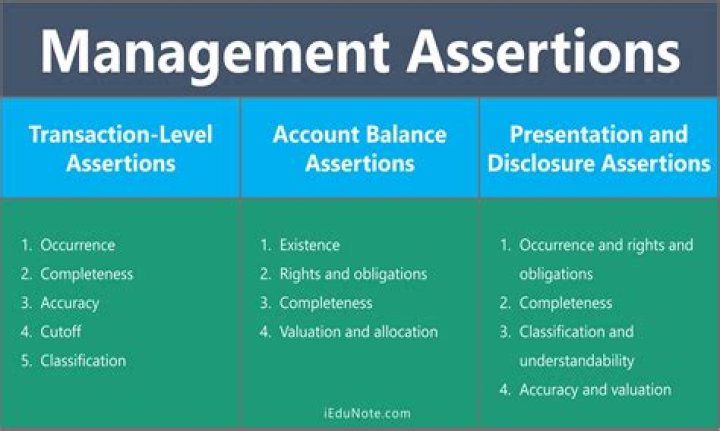 What are the 5 management assertions?