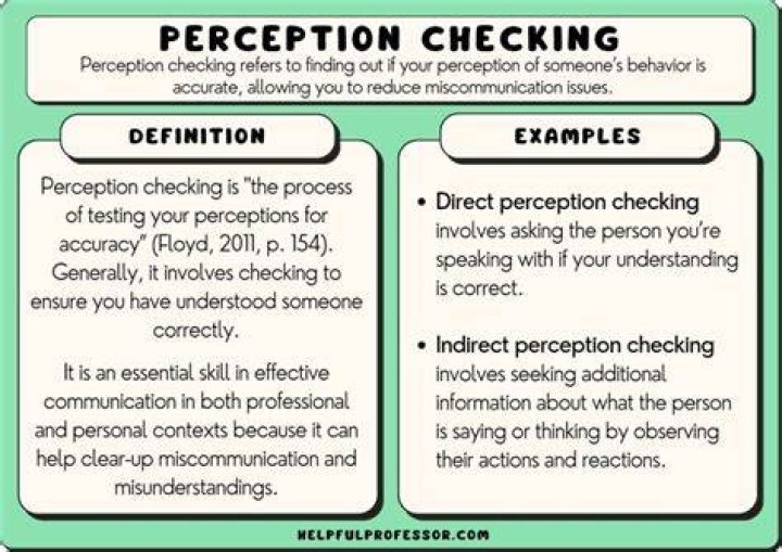 What are the 5 steps of perception checking?