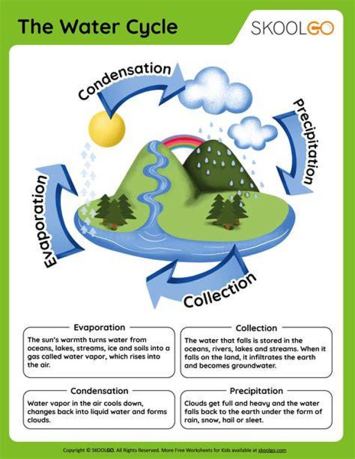 What are the 5 steps of the water cycle?