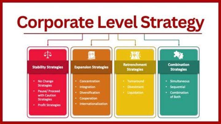 What are the 5 types of corporate strategies?