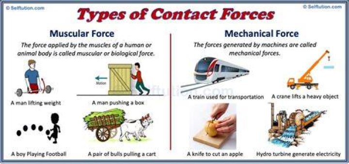 What are the 6 contact forces?