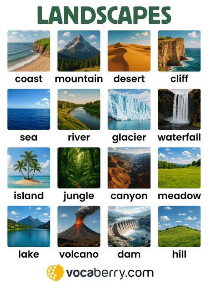 What are the 6 main types of landscapes?