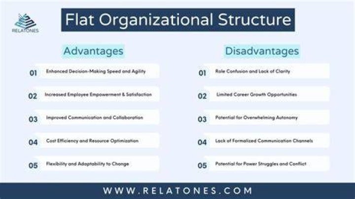 What are the advantages of business Organisation?