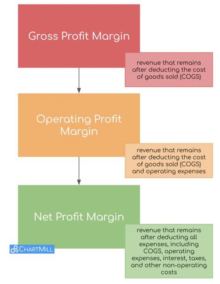 What are the advantages of net profit margin?