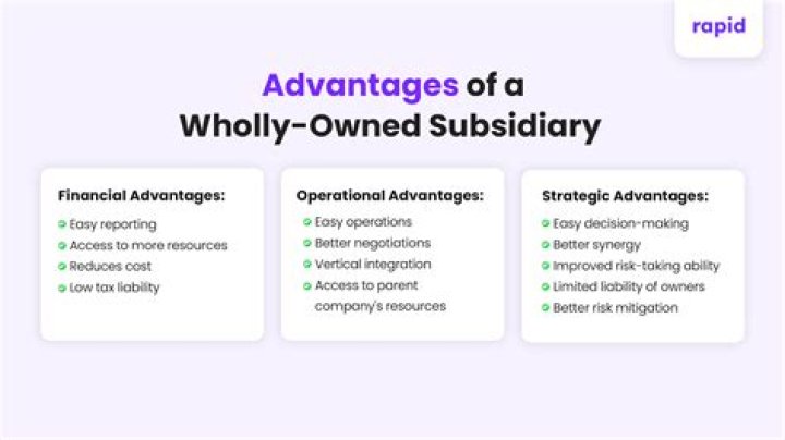 What are the advantages of wholly owned subsidiary?