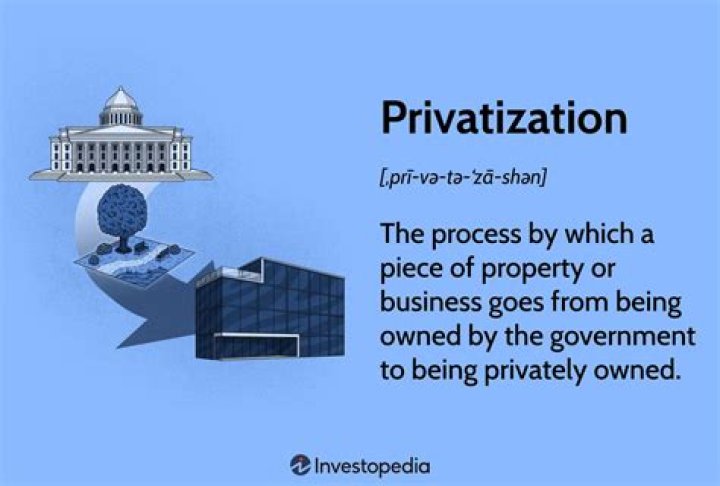 What are the arguments for privatization?