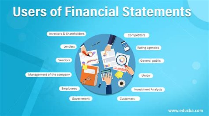 What are the categories of financial statements users?