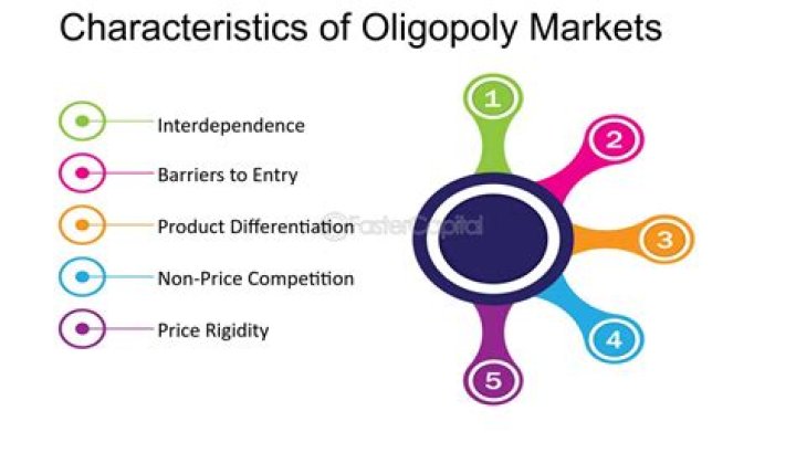 What are the characteristic of an oligopoly market?