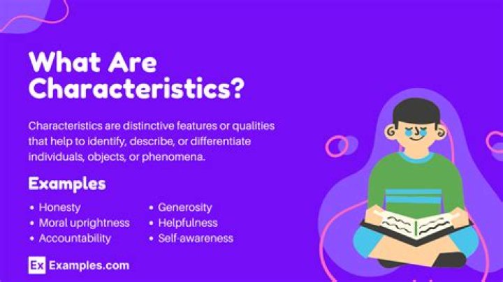 What are the characteristics of formal sectors?