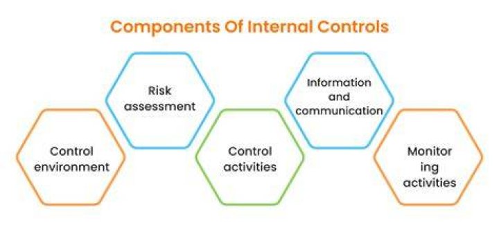 What are the components of internal controls?
