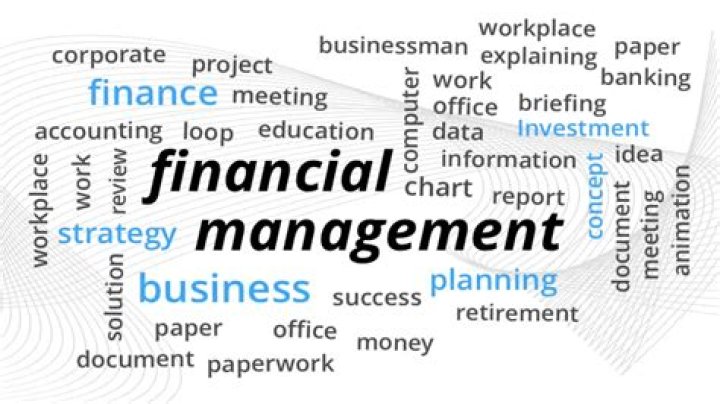 What are the courses in financial management?