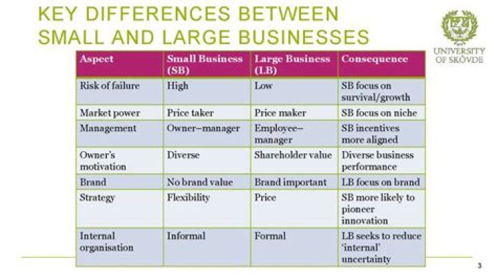 What are the difference between small and large business?