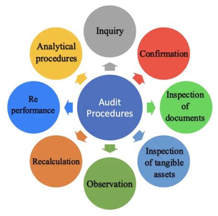 What are the different types of audit procedures?