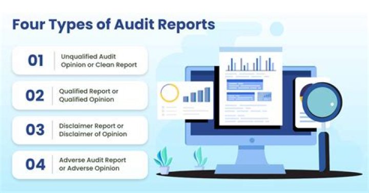 What are the different types of qualification of audit report?