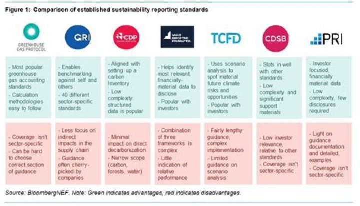 What are the disadvantages of following global accounting standards?