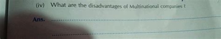 What are the disadvantages of multinational companies?