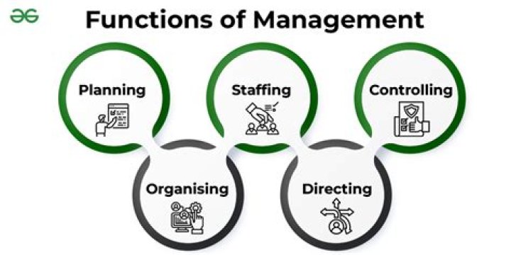 What are the disadvantages of Organising a business by function?