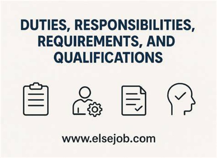What are the duties and responsibilities of a sales executive?