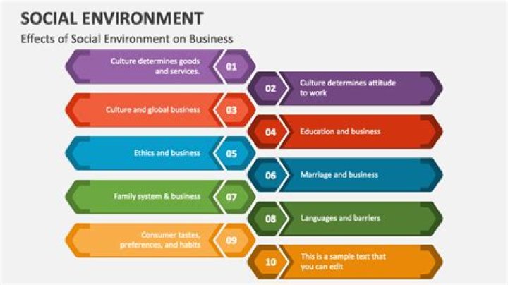 What are the effects of social environment on business?