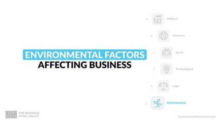 What are the environmental factors responsible in international business?