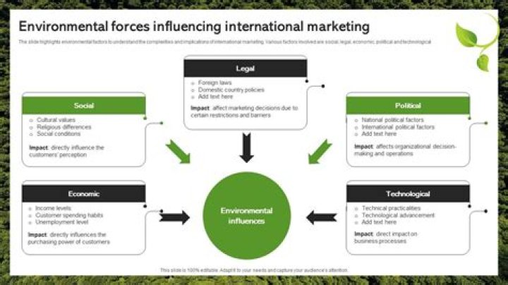 What are the environmental factors that influence project management?