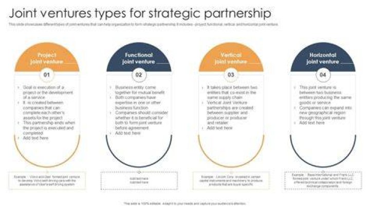 What are the example of joint ventures?