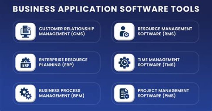 What are the examples of business application software?