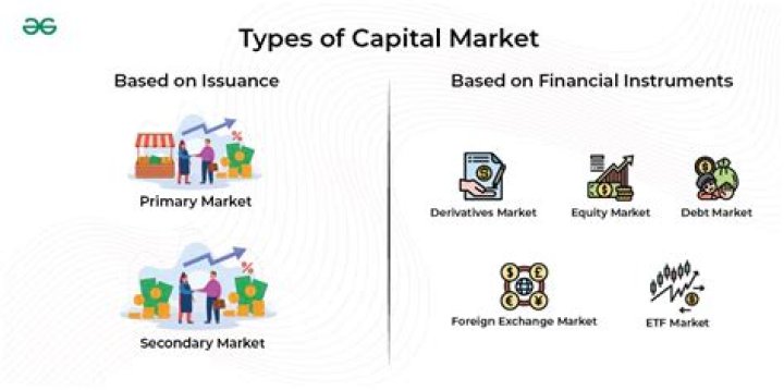 What are the examples of capital market instruments?