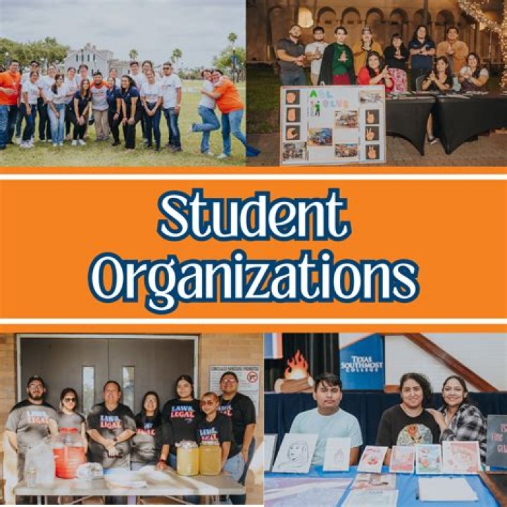 What are the examples of student organizations?