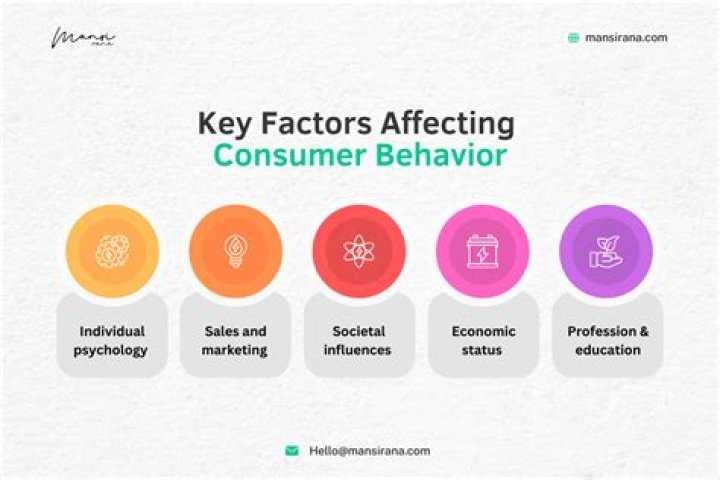 What are the factors affecting consumers?