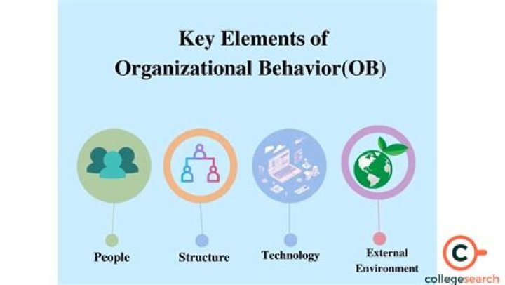 What are the factors affecting organizational Behaviour?