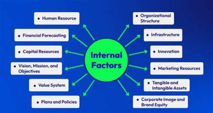 What are the factors that affect a business plan?