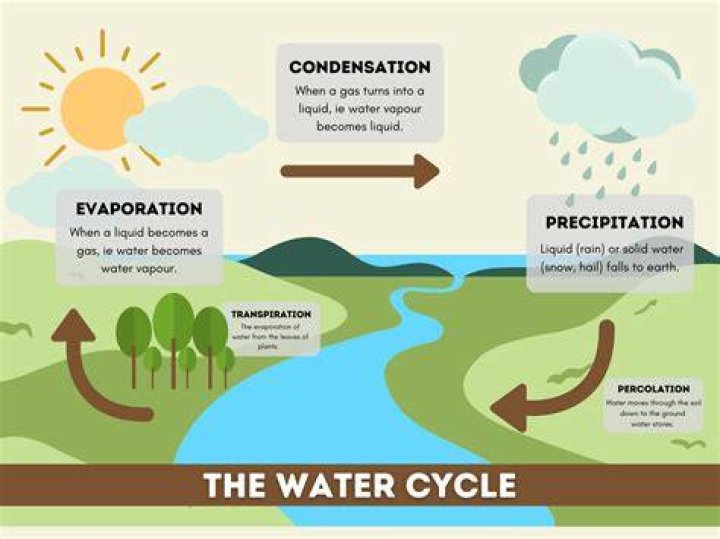What are the five steps of the water cycle what happens in each step?