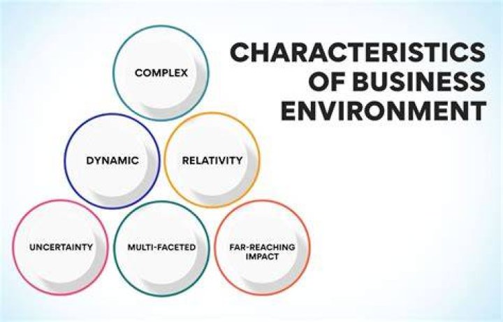 What are the four characteristics of business environment?