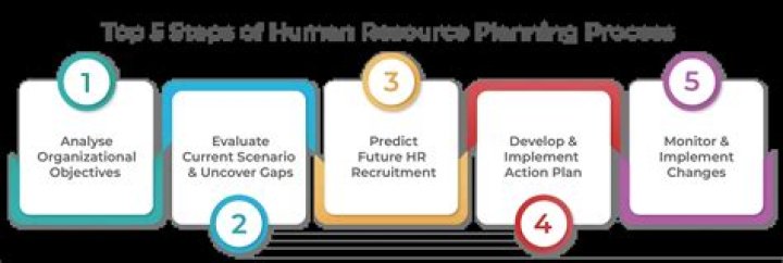 What are the four steps in the human resource management process?