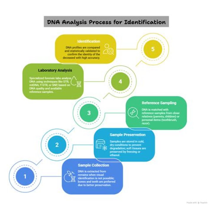 What are the four steps of transaction analysis?