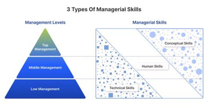 What are the four types of managerial skills?