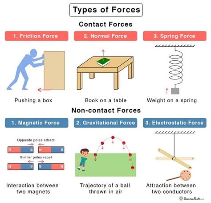 What are the four types of training?