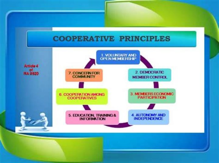 What are the functions and objectives of cooperatives?