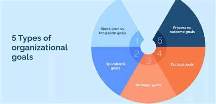 What are the goals of having organizational structure?
