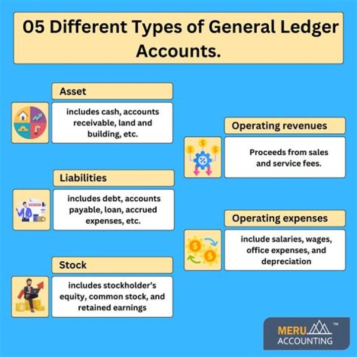 What are the important features of ledger accounts?