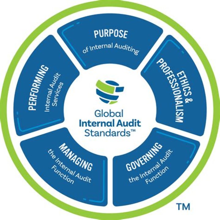 What are the internationally recognized audit standards?