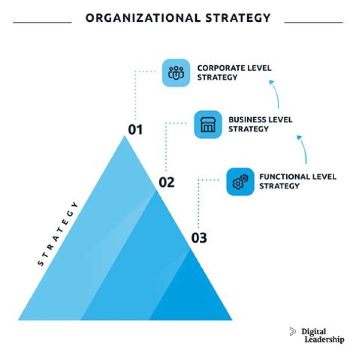 What are the key elements of an organizational strategy?