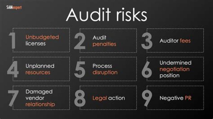 What are the main audit risks?