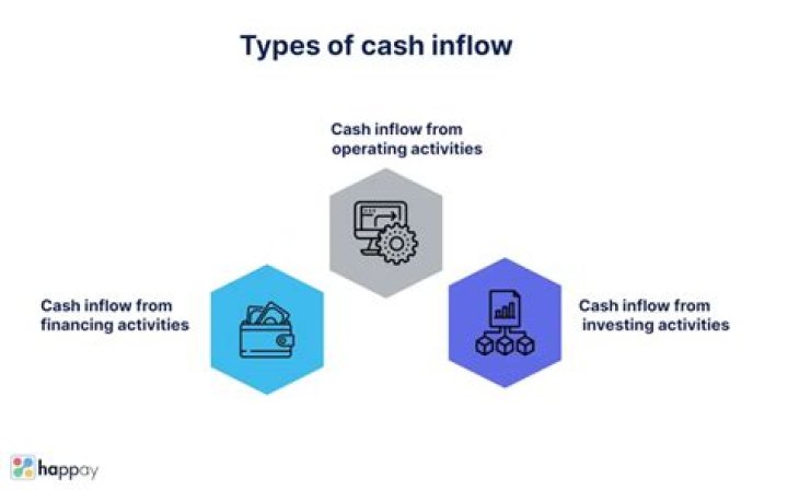 What are the main cash inflows of a business?