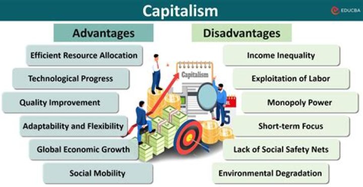 What are the main disadvantages of capitalism?