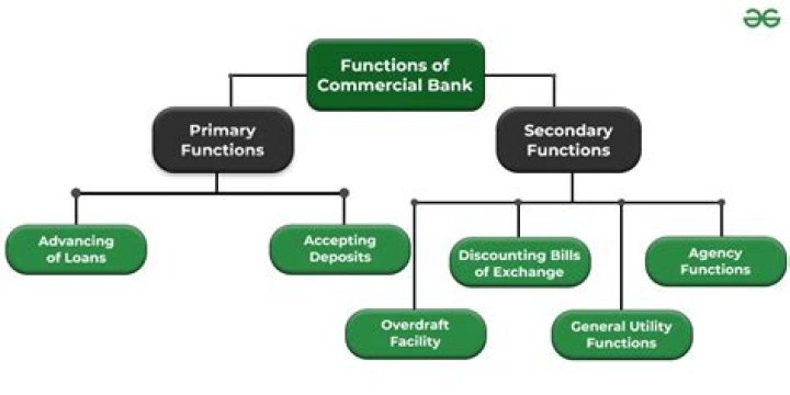 What are the main functions of the Central Business District?