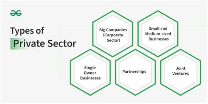What are the main limitations of private sector?