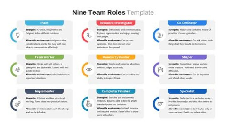 What are the main roles within a team?